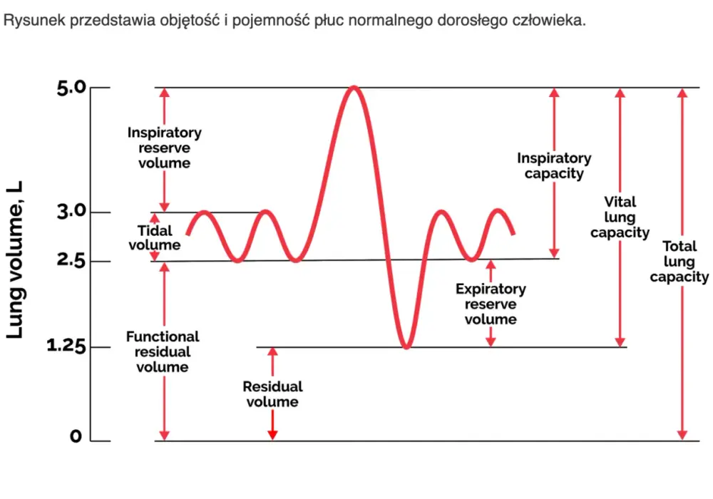 Pojemność płuc - Interpretacja badań i wpływ na życie