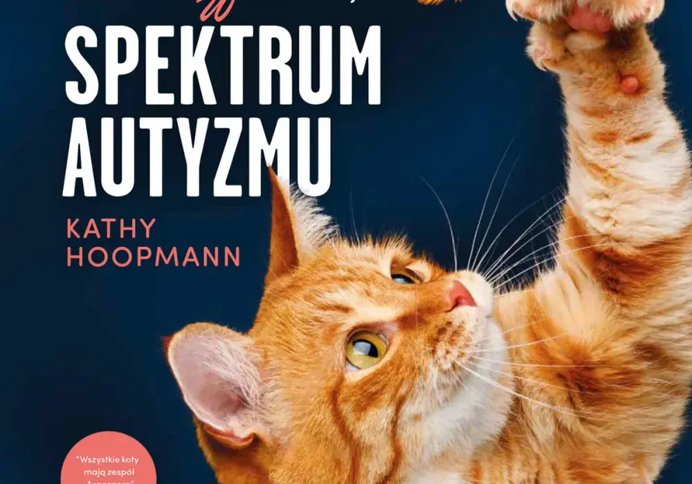 Czy koty mogą mieć autyzm? Objawy i zachowania, które warto znać