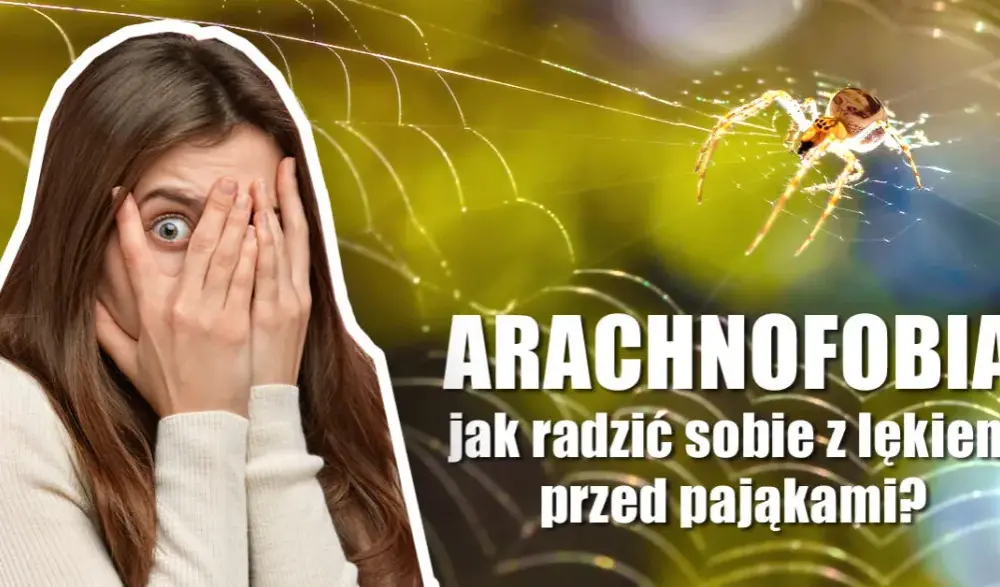 Czym jest arachnofobia? Lęk przed pająkami – objawy, przyczyny i leczenie