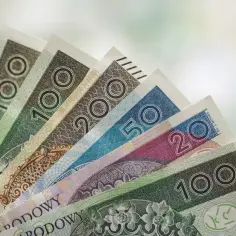 Polskie banknoty o nominałach 10, 20, 50, 100 i 200 zł. Mogą symbolizować świadczenie pielęgnacyjne dla kogoś bliskiego.