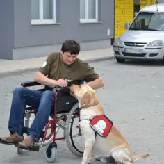 Jak otrzymać psa opiekuna osoby niepełnosprawnej: kompletny poradnik