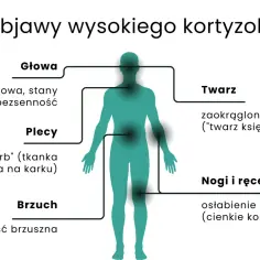 Schemat objawów wysokiego kortyzolu: mgła mózgowa, "wdowi garb", otyłość brzuszna, zaokrąglona twarz, osłabienie mięśni.