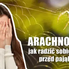 Czym jest arachnofobia? Lęk przed pająkami – objawy, przyczyny i leczenie