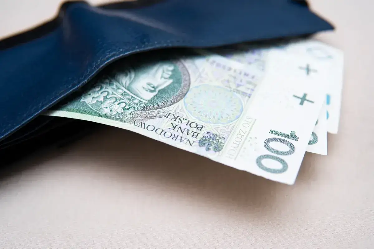Portfel z polskimi stuzłotówkami. Czy to dodatek pielęgnacyjny, czy zasiłek pielęgnacyjny?