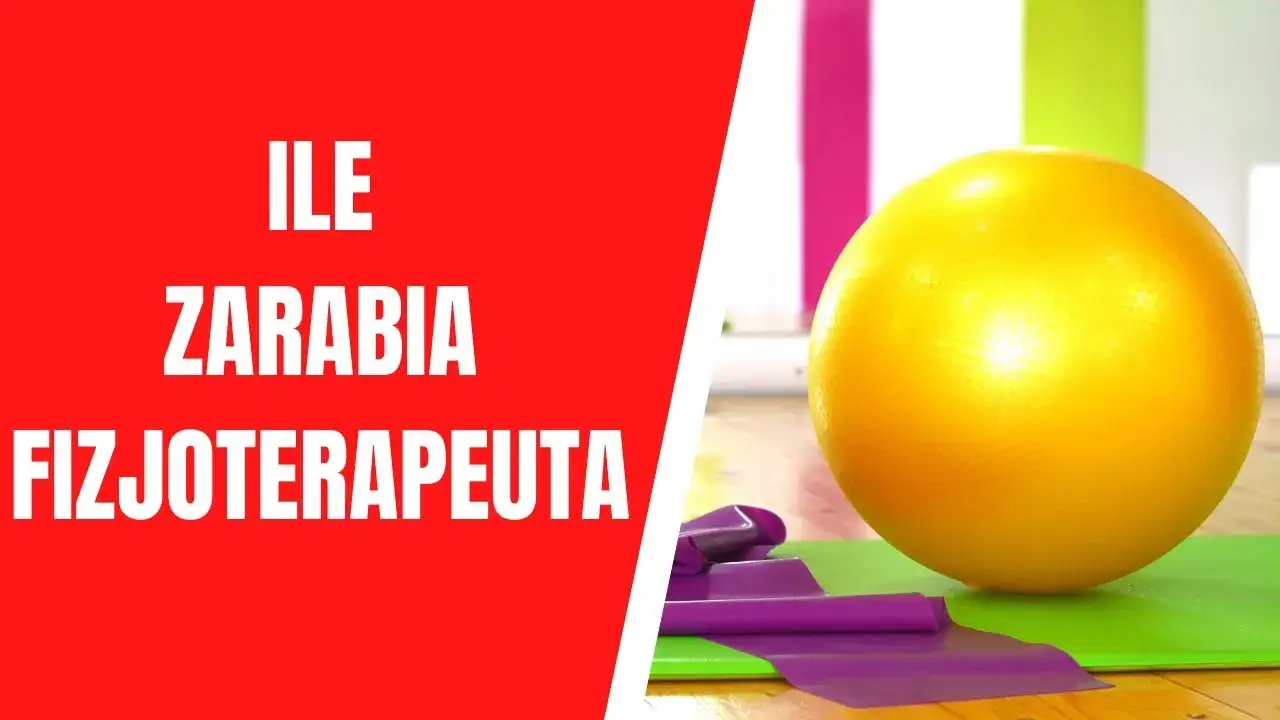Zdjęcie Ile zarabia fizjoterapeuta zwierząt? Sprawdź, co wpływa na wynagrodzenie