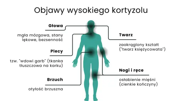 Zespół Cushinga - nadmiar kortyzolu? Objawy, leczenie, wsparcie